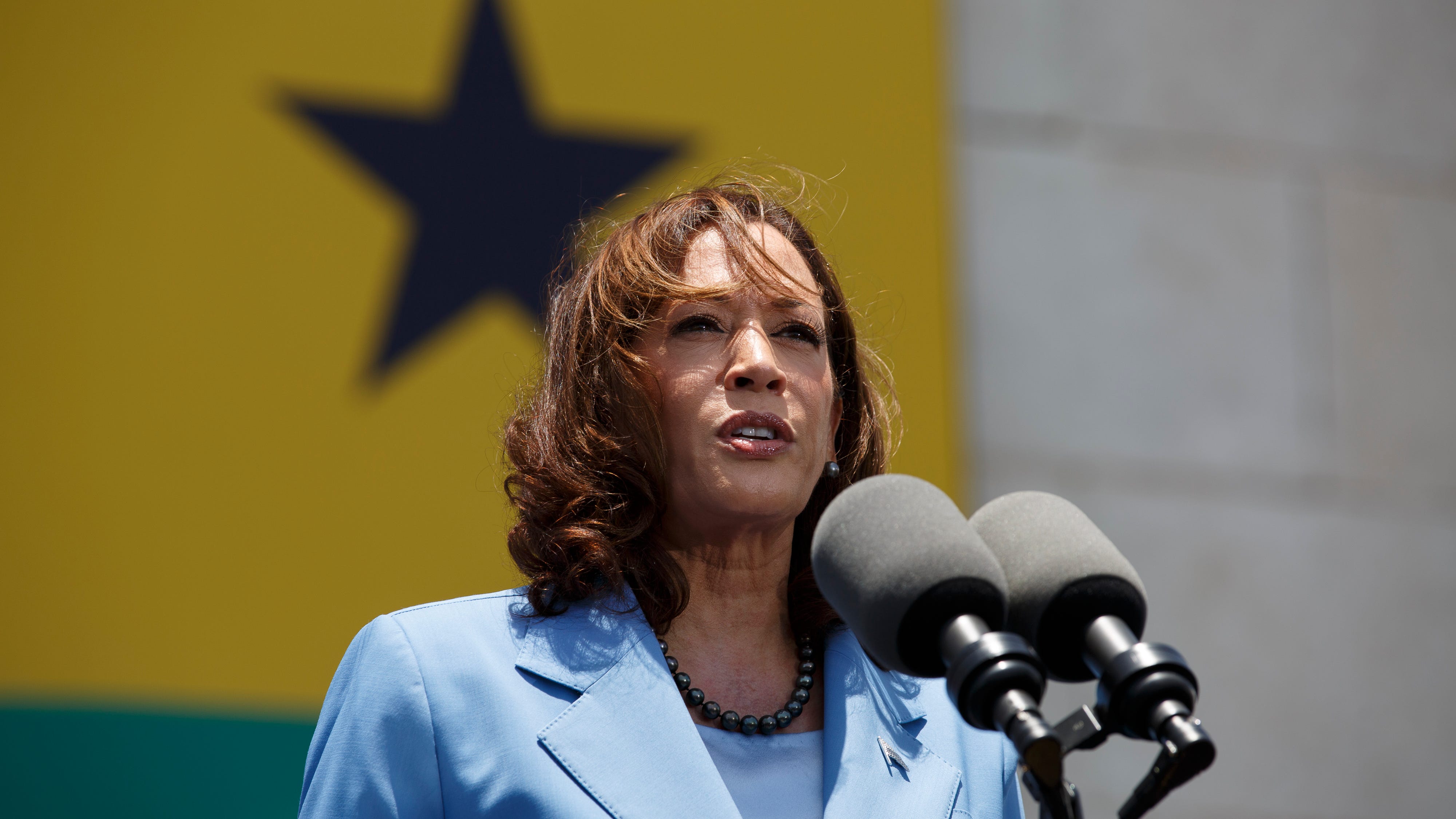 Harris finds new connections in Africa as historic figure