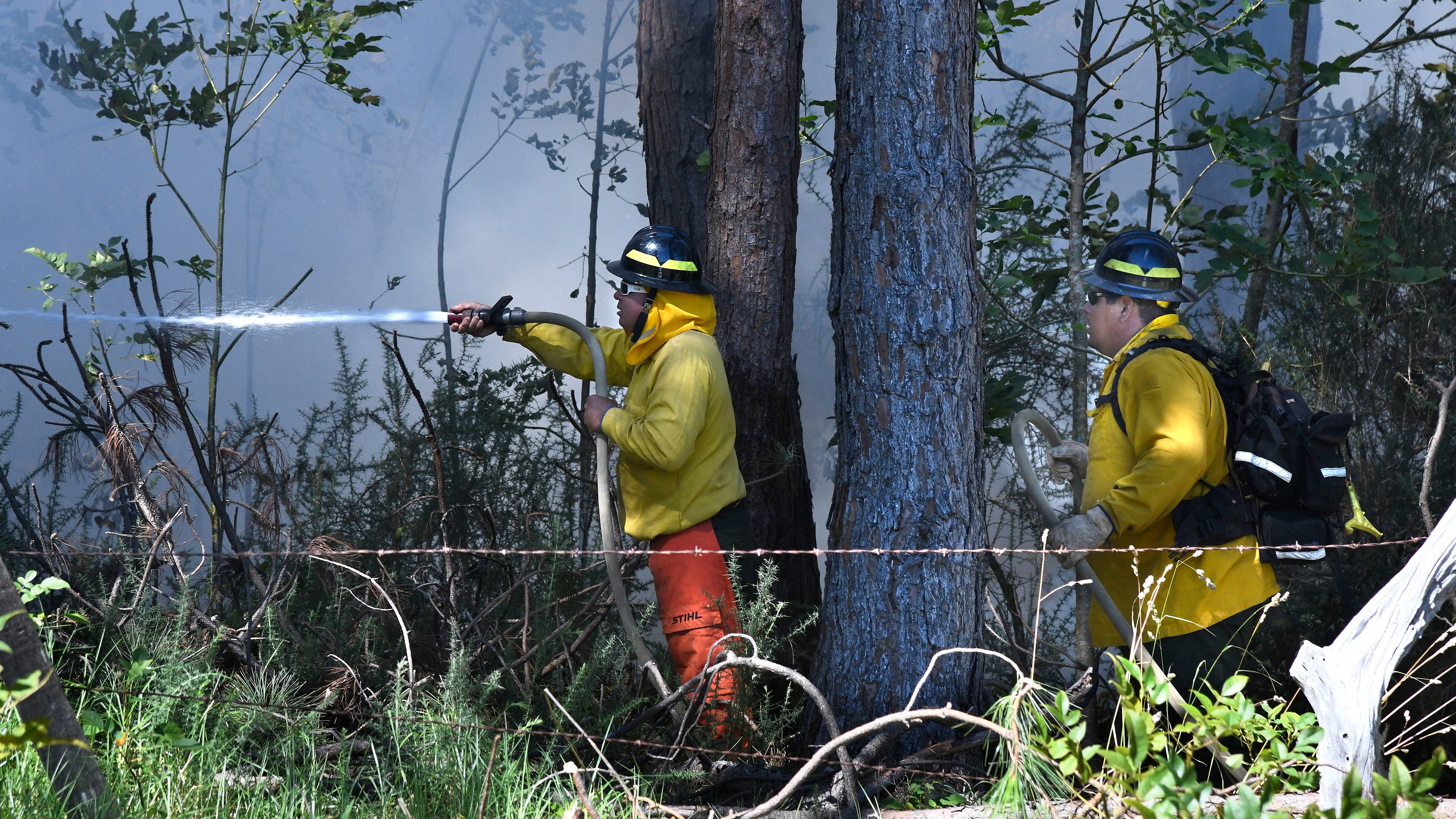 How to help or donate in response to the deadly wildfire in Maui