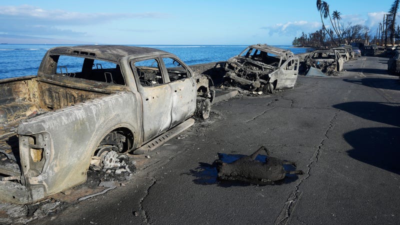 Hawaii Fires