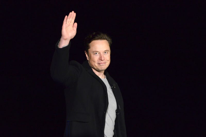 Twitter Musk Trust and Safety