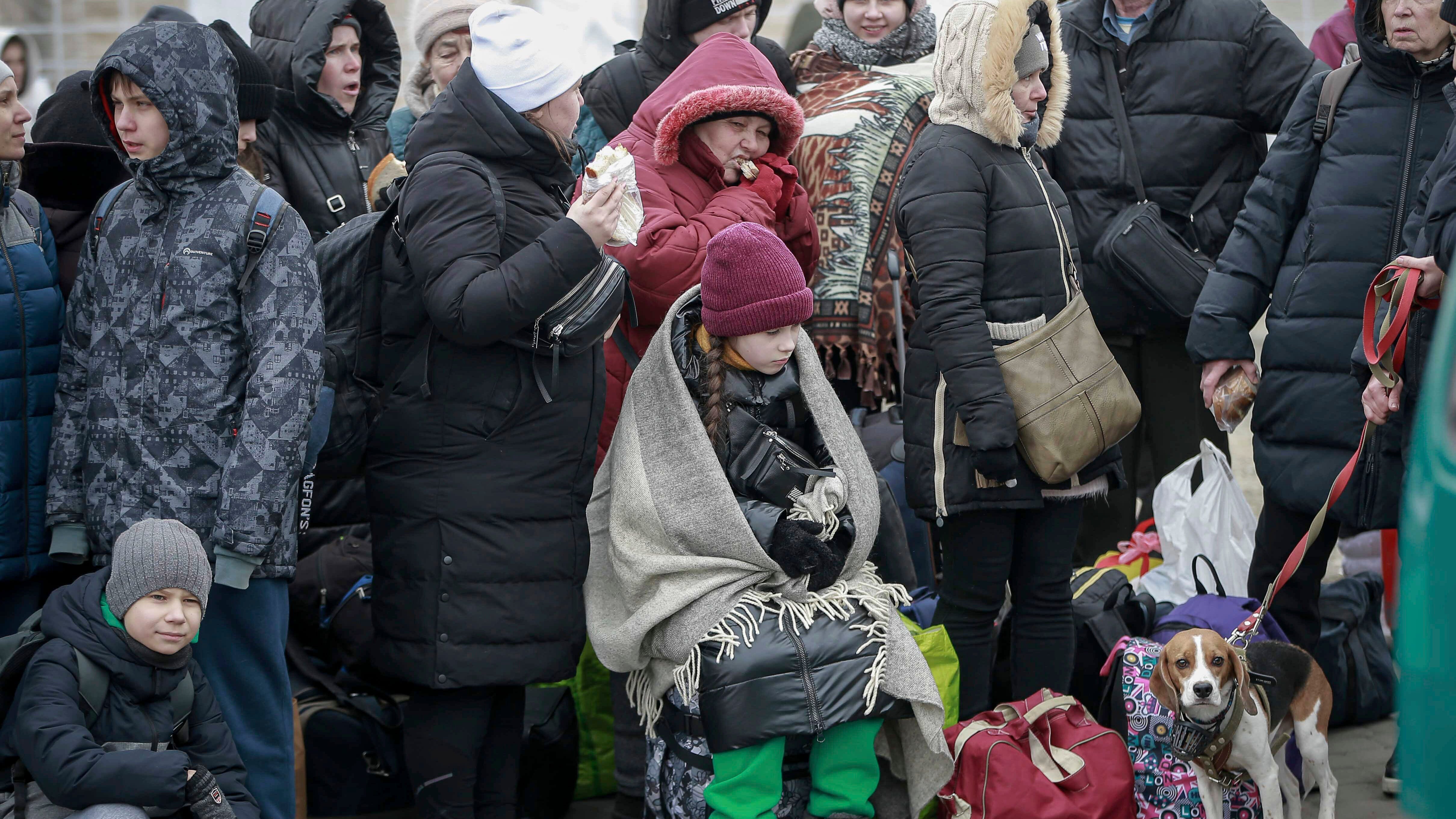 As Ukrainians flee, 'we even feel a bit guilty we are OK'