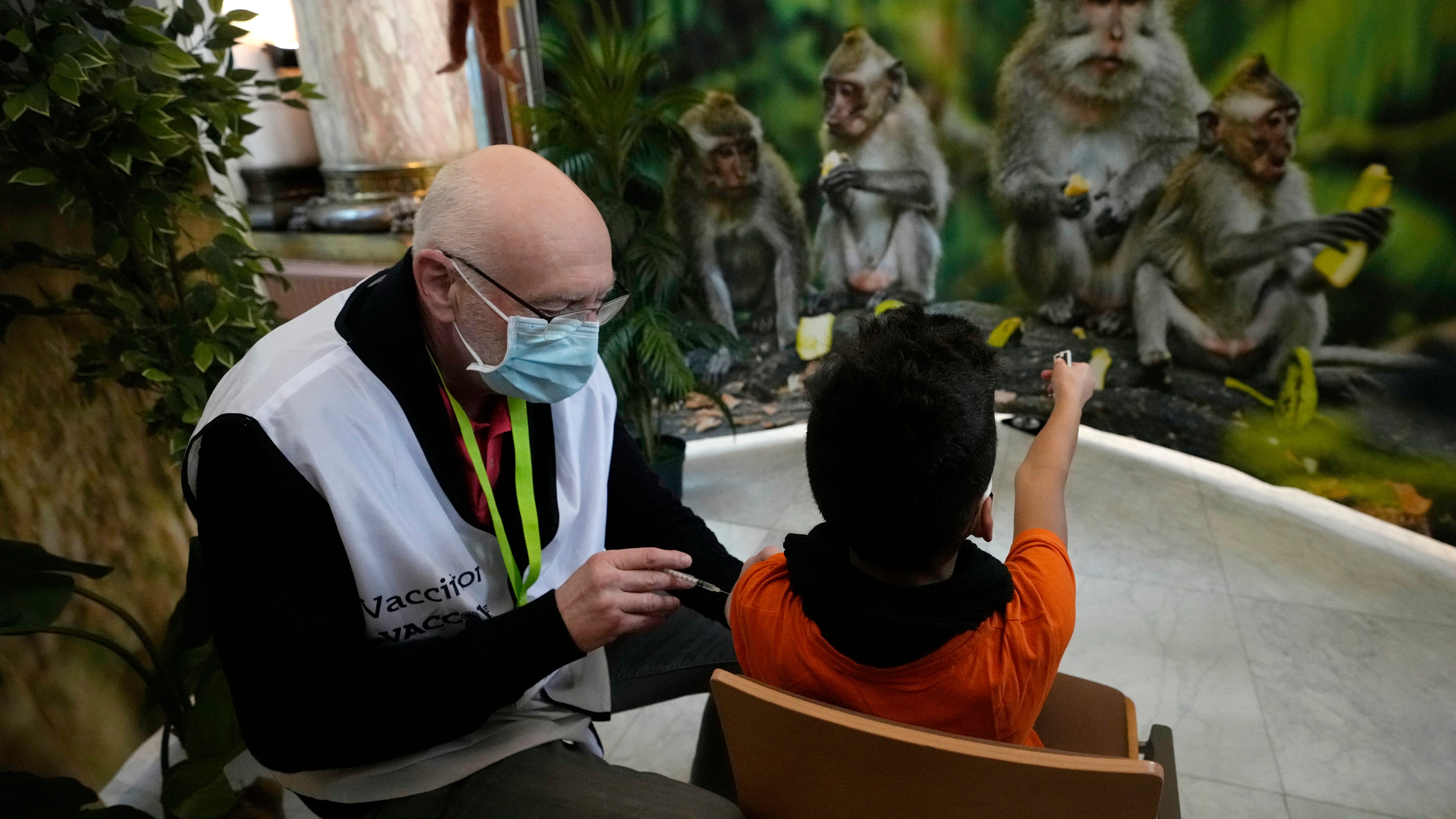 Monkey business: Antwerp zoo put kids at ease for virus jab