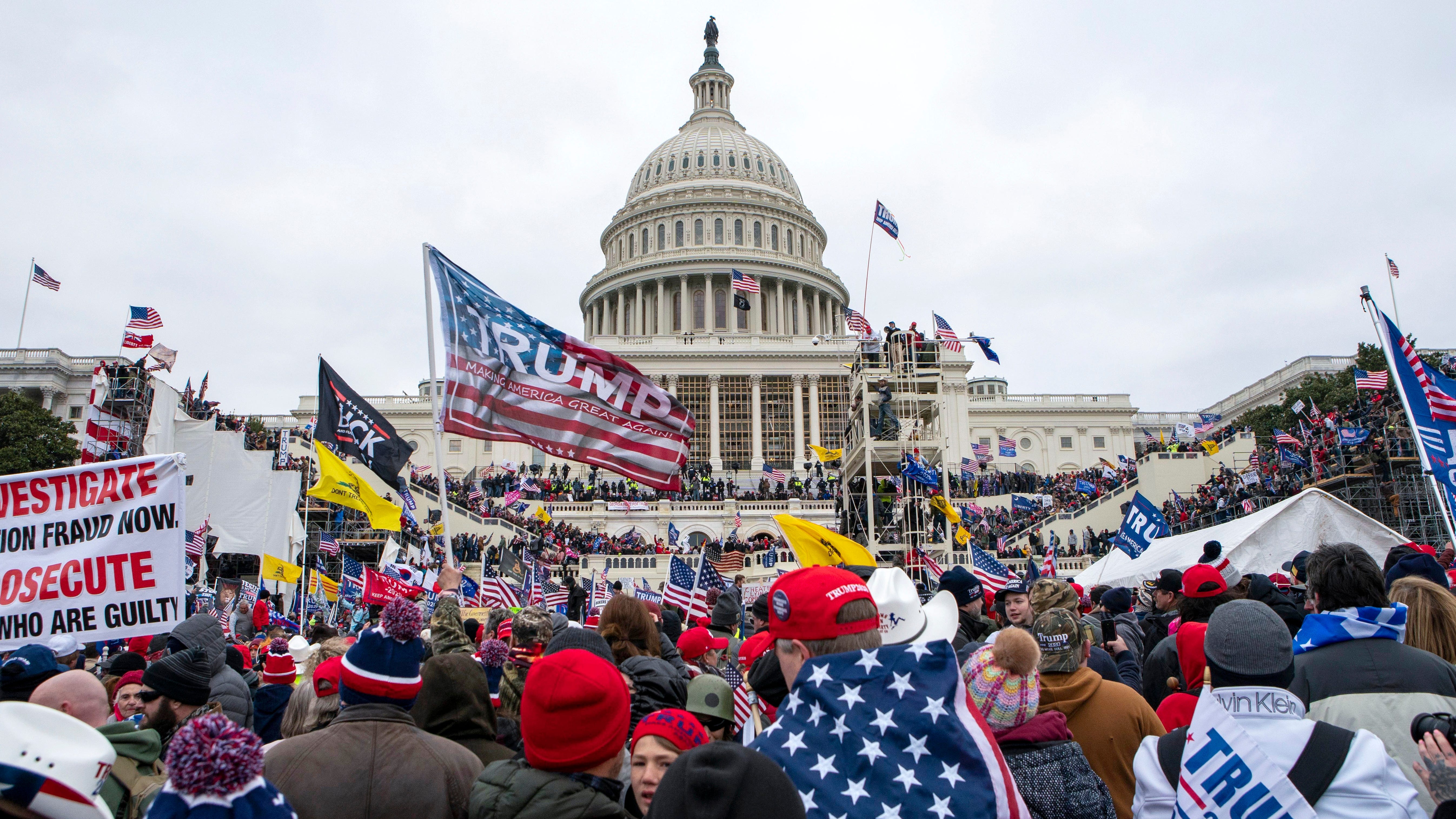 Infowars website staffer pleads guilty to storming Capitol