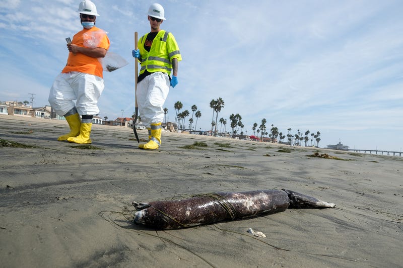 California Oil Spill