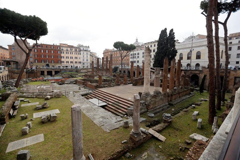 A view of the archeological site of Largo Argentina, in Rome, Monday, Feb. 18, 2019