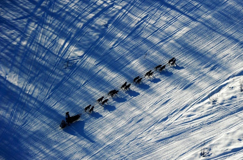 musher Nathan Schroeder drives his dog team down the trail just after the start of the Iditarod Trail Sled Dog Race near Willow, Alaska