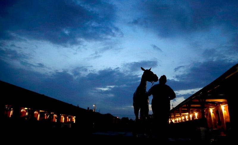 A horse gets a bath after an early-morning workout at Churchill Downs Tuesday, April 30, 2019, in Louisville, Ky.