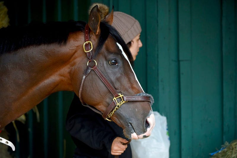 Preakness contender War of Will is led through the barn, Tuesday, May 14, 2019, at Pimlico Race Course in Baltimore. The Preakness Stakes horse race is scheduled to take place Saturday, May 18.