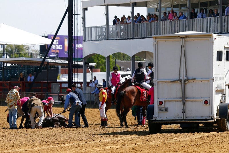 Track officials tend to Congrats Gal after the horse collapsed after the eighth horse race at Pimlico Race Course, Friday, May 17, 2019, in Baltimore.