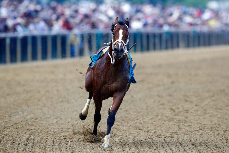 Bodexpress runs in the 144th Preakness Stakes horse race without John Velazquez at Pimlico race course, Saturday, May 18, 2019, in Baltimore. War of Will, ridden by Tyler Gaffalione won.