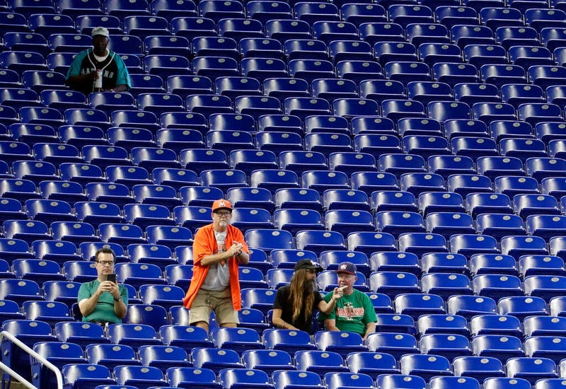 Fans watch a baseball game