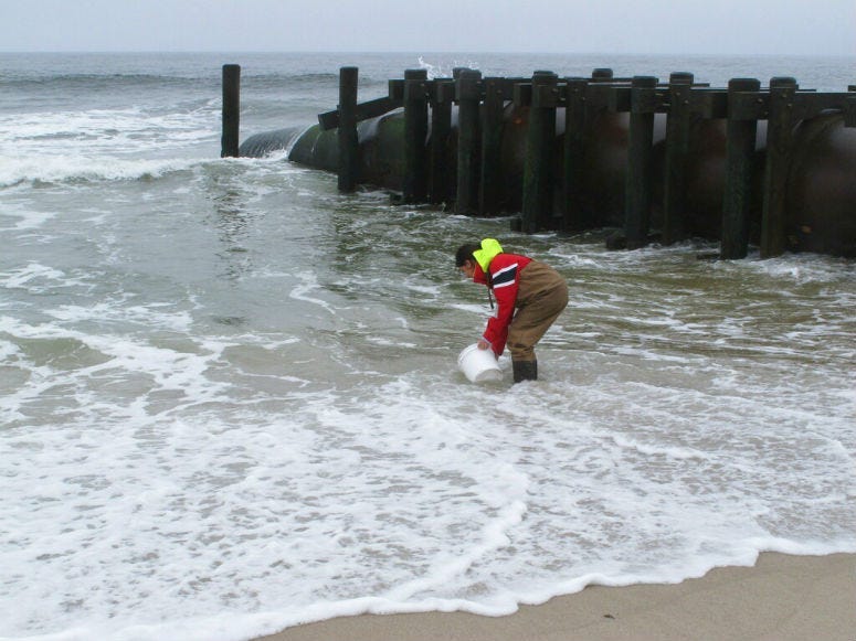 University researchers are studying the relationship between heavy rainfall and elevated levels of bacteria from animal waste that gets flushed into storm sewers and out in the ocean.