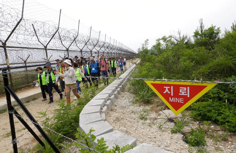  hikers and journalists walk along the DMZ Peace Trail in the demilitarized zone in Goseong, South Korea