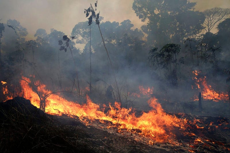 A fire burns along the road to Jacunda National Forest, near the city of Porto Velho in the Vila Nova Samuel region which is part of Brazil's Amazon, Monday, Aug. 26, 2019.
