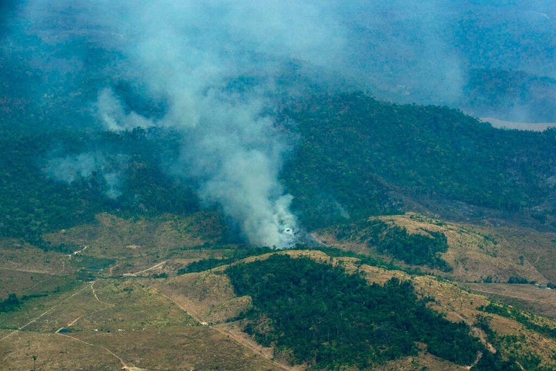Smoke rises from a rainforest in Altamira, Para state, Brazil