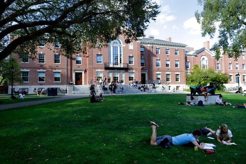 people rest on grass while reading at Brown University in Providence