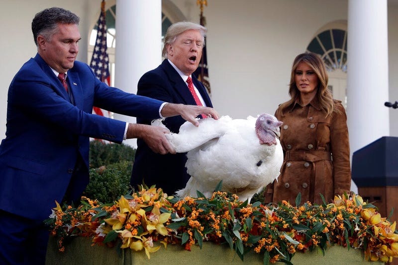 President Donald Trump pardons Butter, the national Thanksgiving turkey, as first lady Melania Trump watches in the Rose Garden of the White House, Tuesday, Nov. 26, 2019, in Washington. 