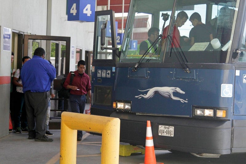 Greyhound