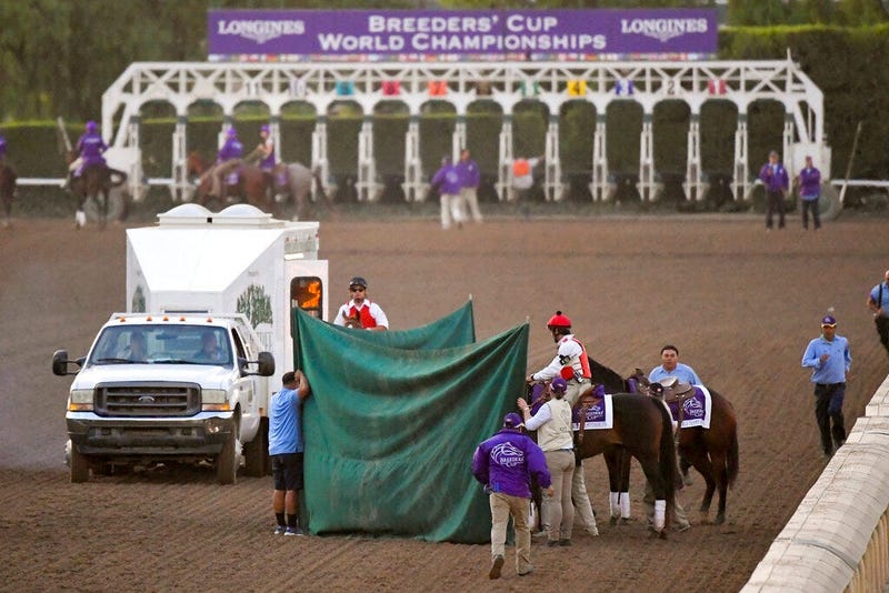 rack workers treating Mongolian Groom after the Breeders' Cup Classic horse race at Santa Anita Park, in Arcadia, Calif.