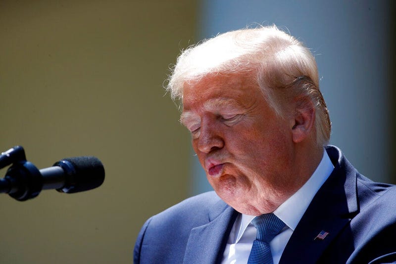 President Donald Trump