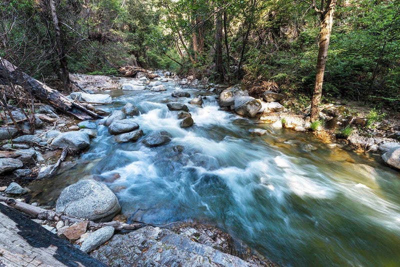 Big Sur (AP)