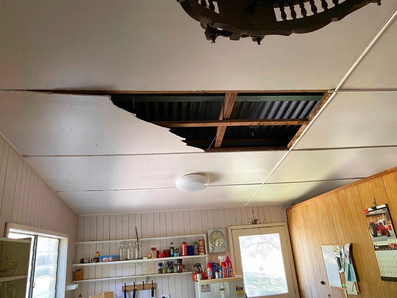 pythons roof collapse