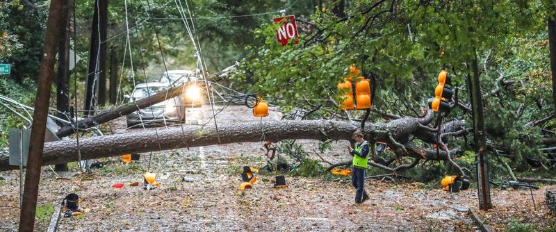 A large tree fell across West Wesley Road and Habersham Road