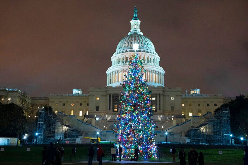 U.S. Capitol Christmas Tree is seen at the U.S. Capitol at night after negotiators sealed a deal for COVID relief Sunday, Dec. 20, 2020, in Washington. (AP Photo/Jose Luis Magana)