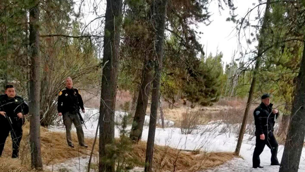 Grizzly bear fatally mauls guide outside Yellowstone National Park