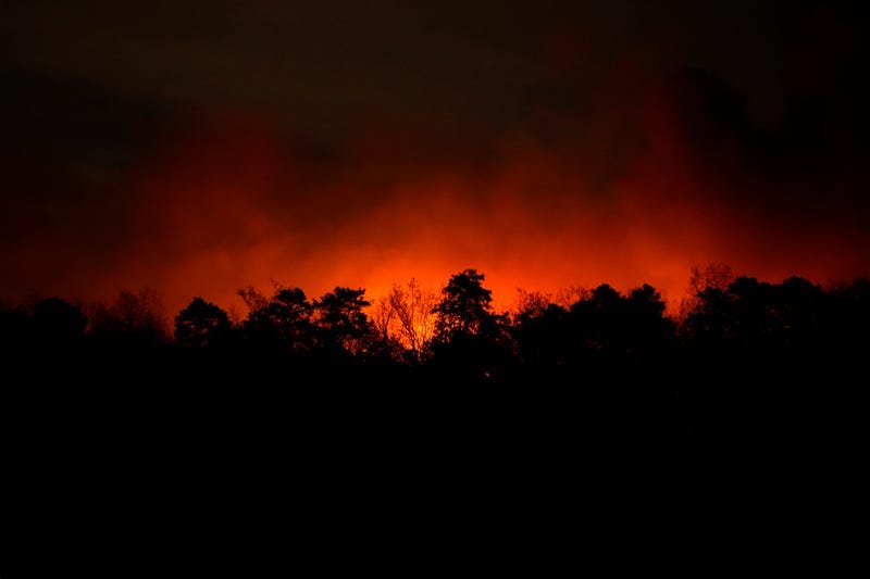 Smoke rises from a wildfire early Wednesday, April 23, 2025, near Barnegat Township, N.J