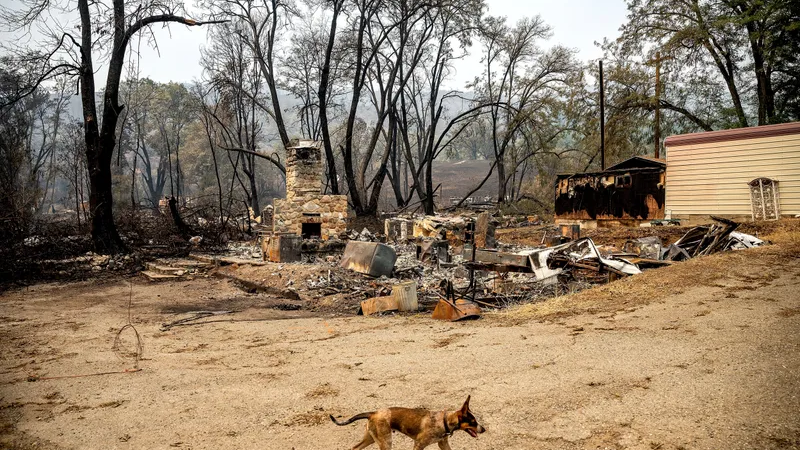 Deadly California wildfire wipes out scenic river town