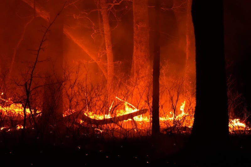 A fire burns on Tuesday, April 22, 2025, near Waretown, N.J