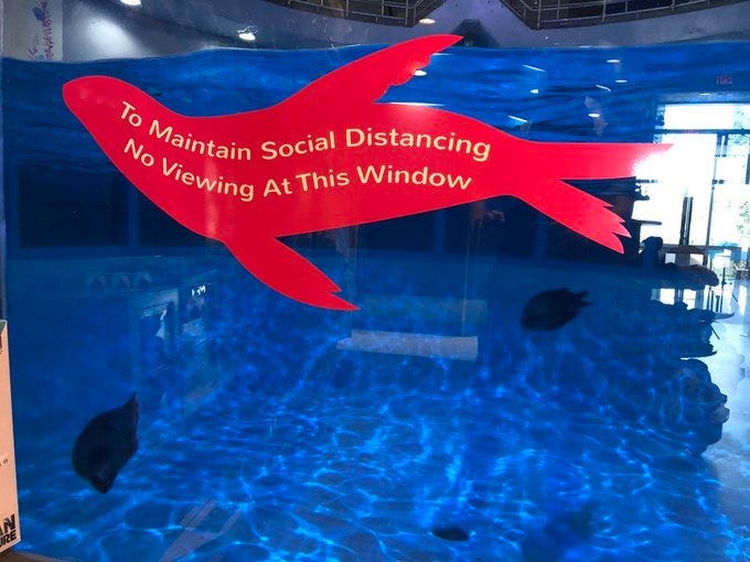 Social distancing sign at Aquarium of Niagara. July 21, 2020 (WBEN Photo/Mike Baggerman)