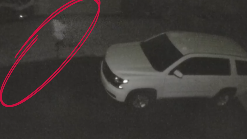 Person believed to be involved in several reported Newtown Square car break-ins