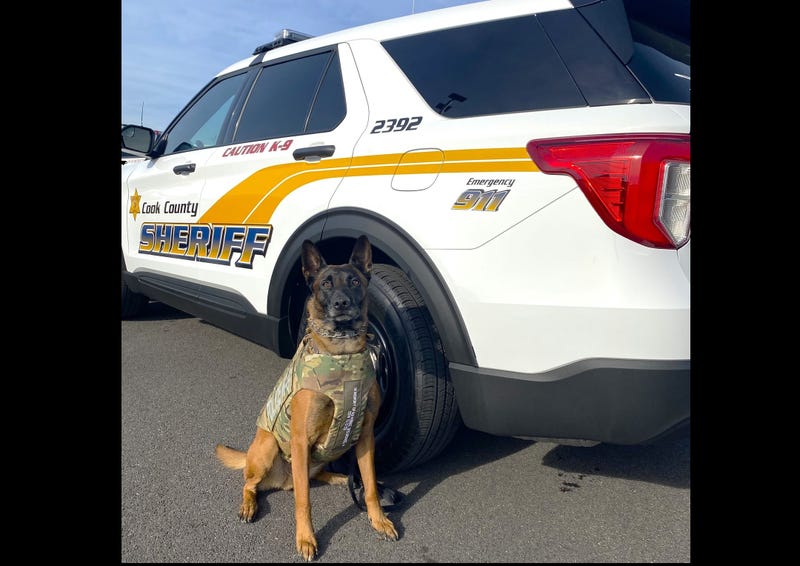 K-9 Aris
