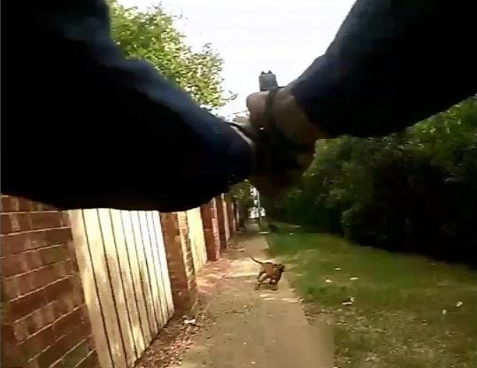 Arlington Police Shooting
