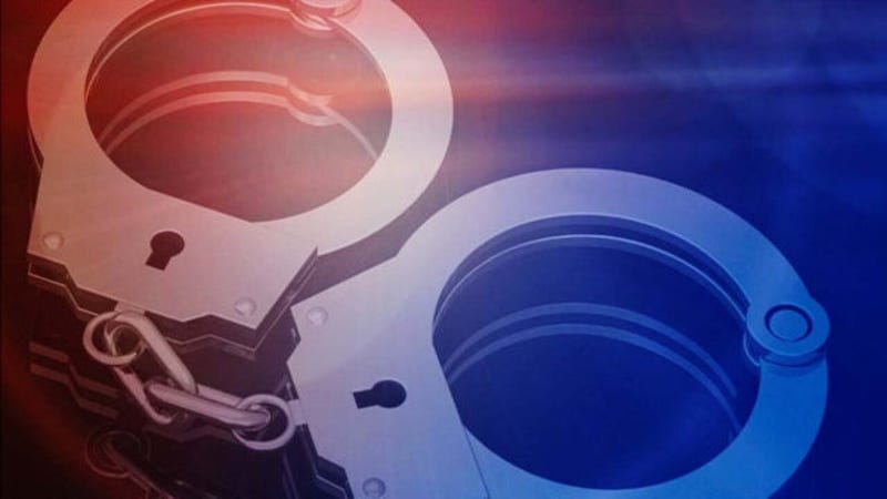 A Buffalo woman is charged with animal cruelty. The SPCA Serving Erie County says the woman left her dog in a hot car in a Cheektowaga parking lot Thursday. 