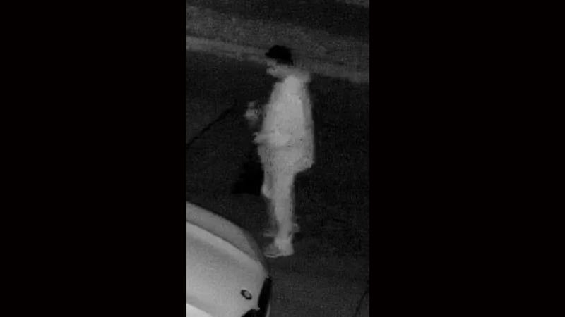 Officials in Dearborn are turning to the public for help in identifying an arson suspect who allegedly started a vehicle fire last weekend.