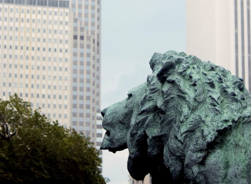 lion 