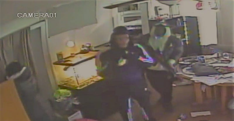assault rifle stolen detroit home invasion