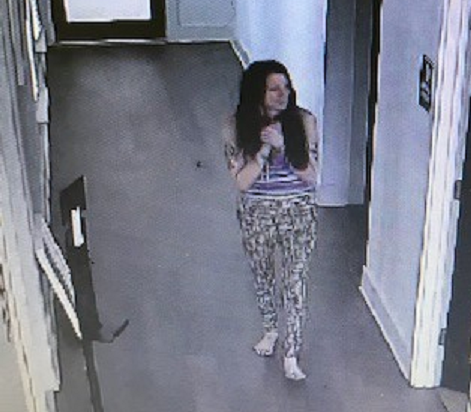 Auto Breaking, Burglary Suspect_6-24