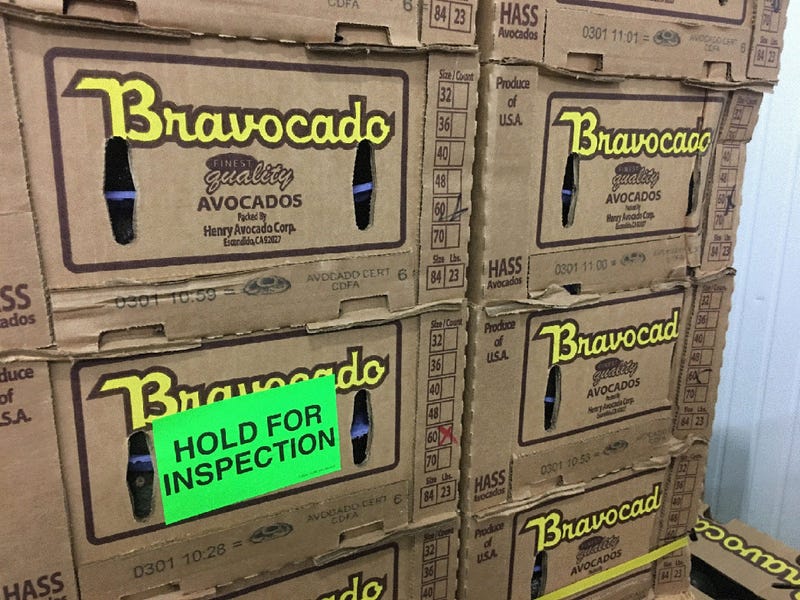 Recalled Avocados