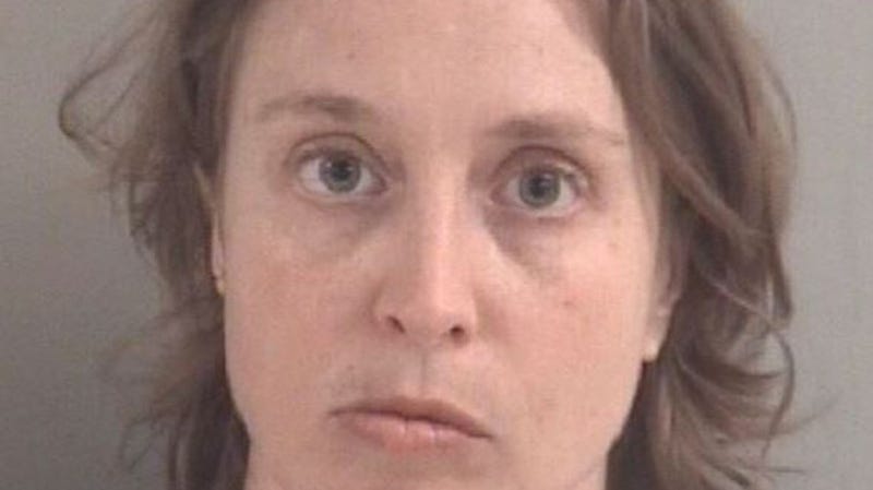 Country music singers may have sung about digging their keys into the side of an ex-lovers car, but one woman in northern Michigan took it a step further and set fire to a number of her ex-boyfriend’s possessions – including his house, police said.
