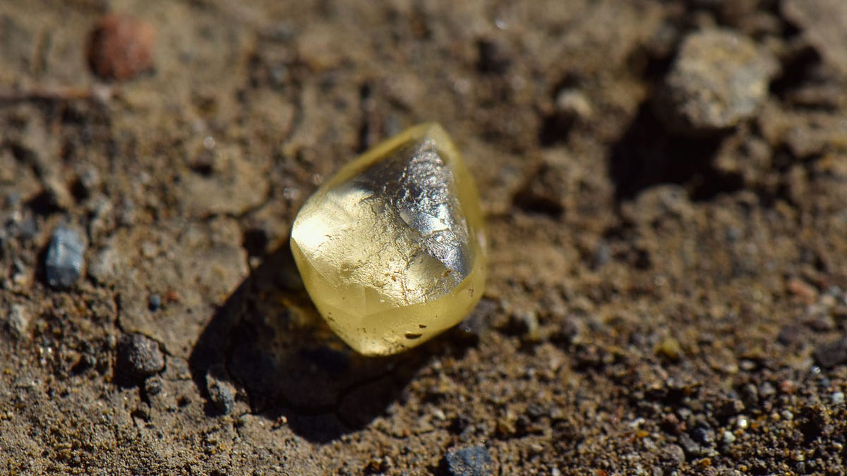 Woman finds enormous gem while visiting a state park: ‘I didn’t know it was a diamond then’