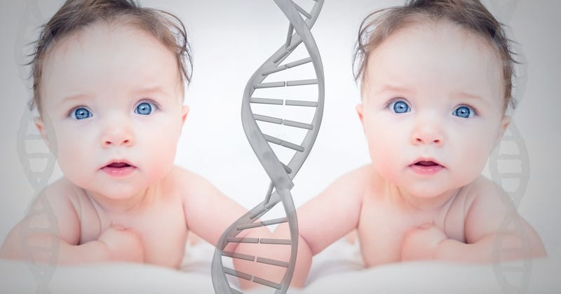 Woman finds siblings through DNA test