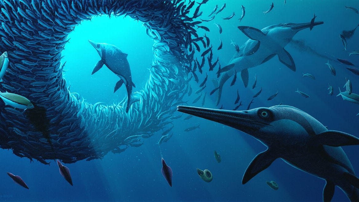 'Jurassic Oceans' exhibition coming to the Field Museum