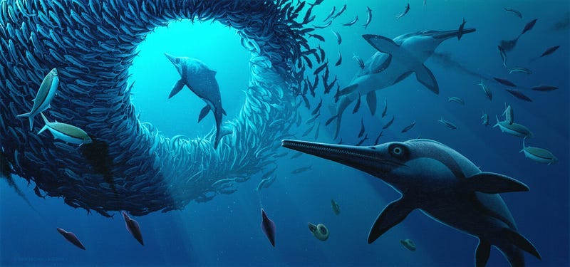 Jurassic Oceans: Monsters of the Deep, which will open on February 25, takes visitors on an underwater journey to encounter some of the fascinating, fierce, and strange creatures that dominated Earth’s Jurassic seas while dinosaurs ruled the land. 