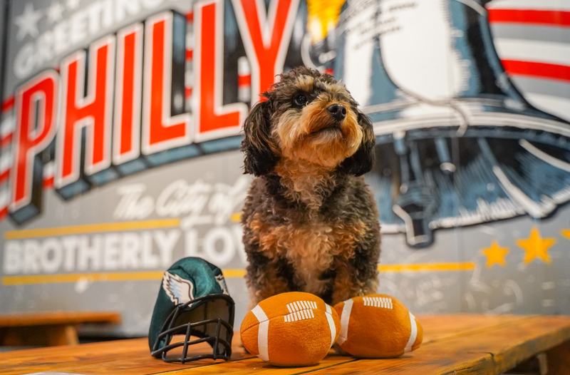 Bark Bowl