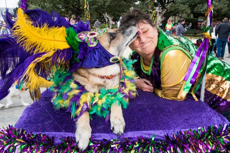 barkus 