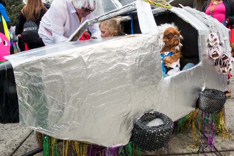 Barkus 
